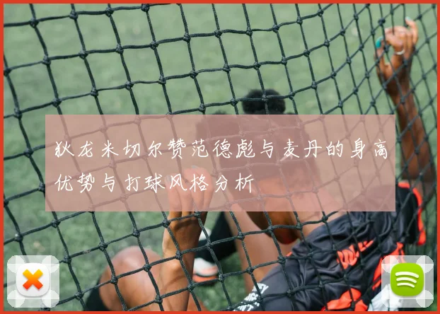 狄龙米切尔赞范德彪与麦丹的身高优势与打球风格分析