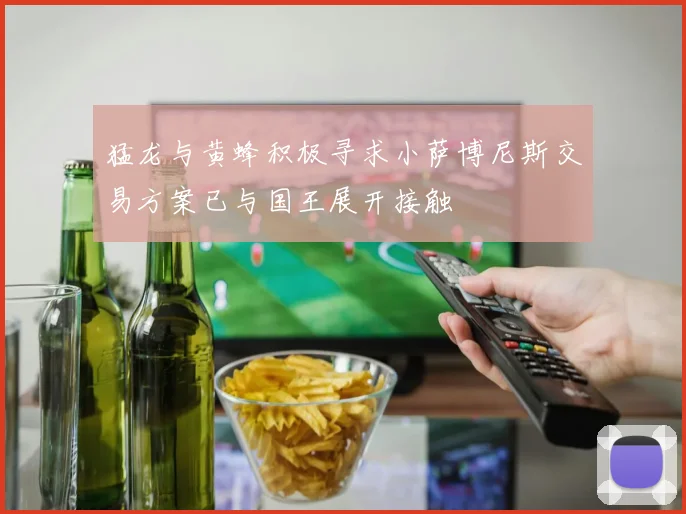 猛龙与黄蜂积极寻求小萨博尼斯交易方案已与国王展开接触